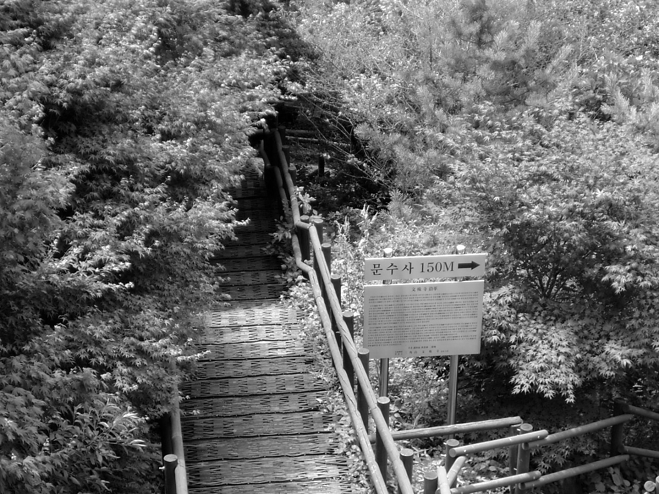 DSCF9571.JPG DSCF9571.JPG