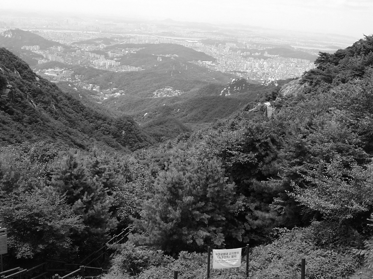 DSCF9573.JPG DSCF9573.JPG