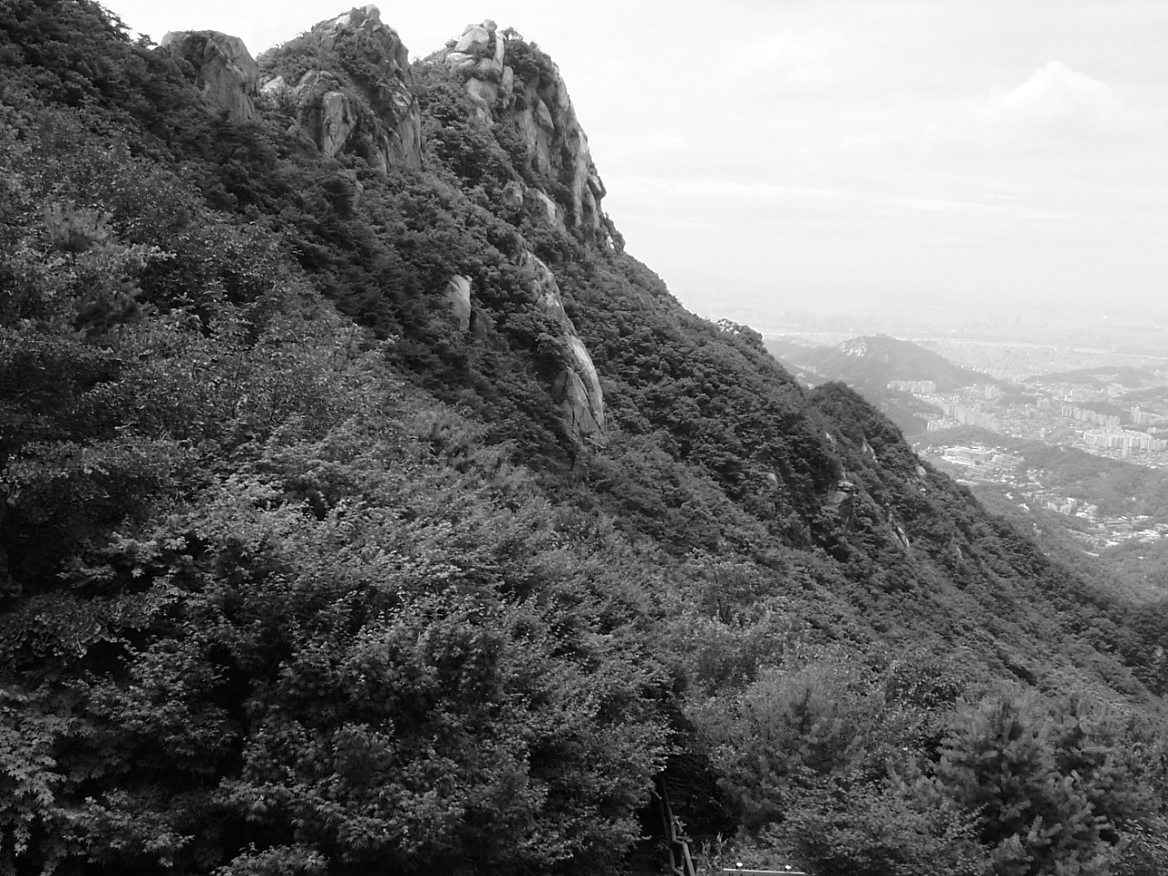 DSCF9574.JPG DSCF9574.JPG