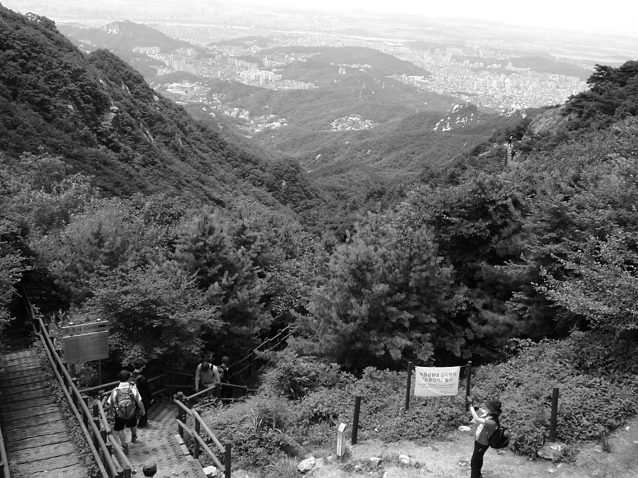 DSCF9575.JPG DSCF9575.JPG