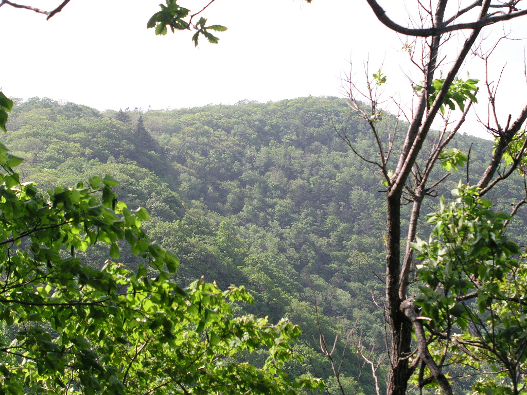 P1010026.JPG P1010026.JPG