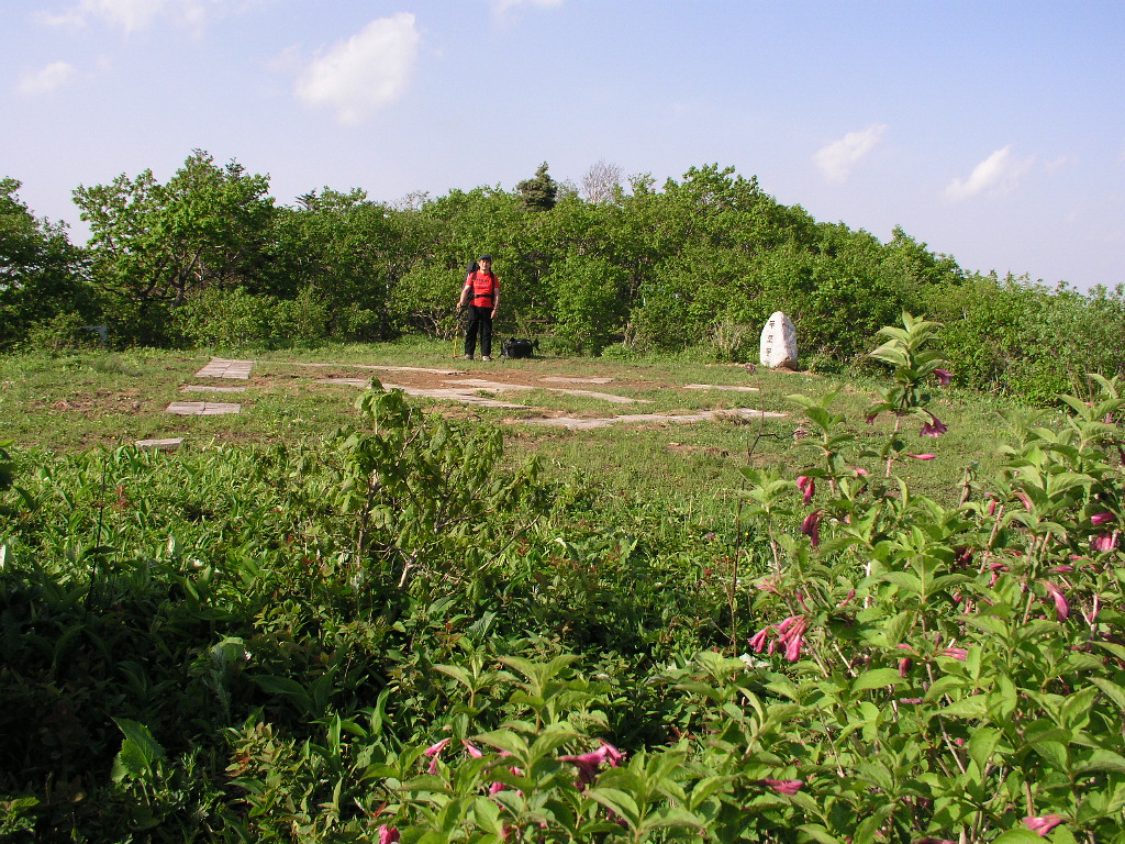 P1010043.JPG P1010043.JPG