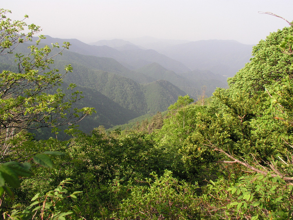 P1010050.JPG P1010050.JPG