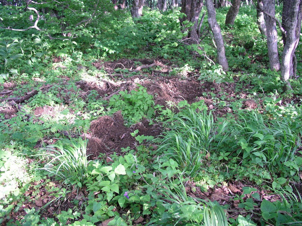 P1010052.JPG P1010052.JPG