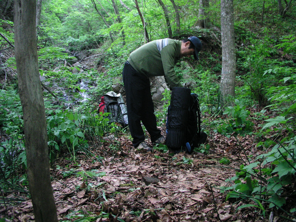 P1010071.JPG P1010071.JPG