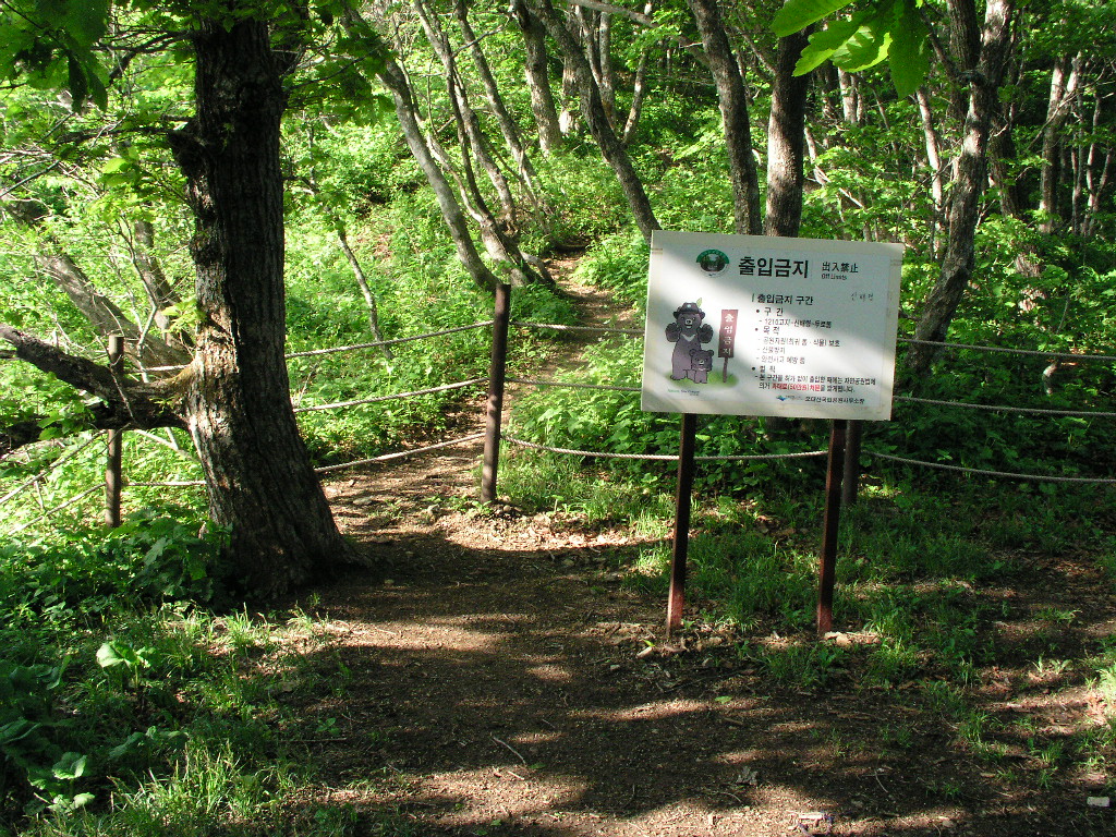 P1010078.JPG P1010078.JPG