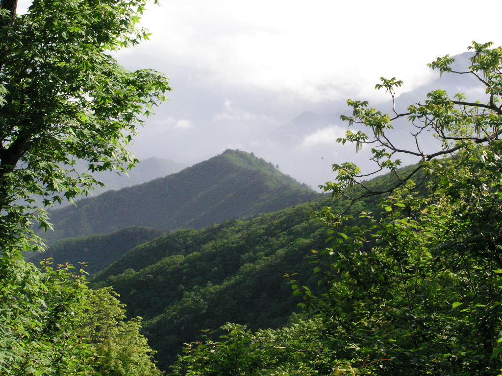 P1010080.JPG P1010080.JPG