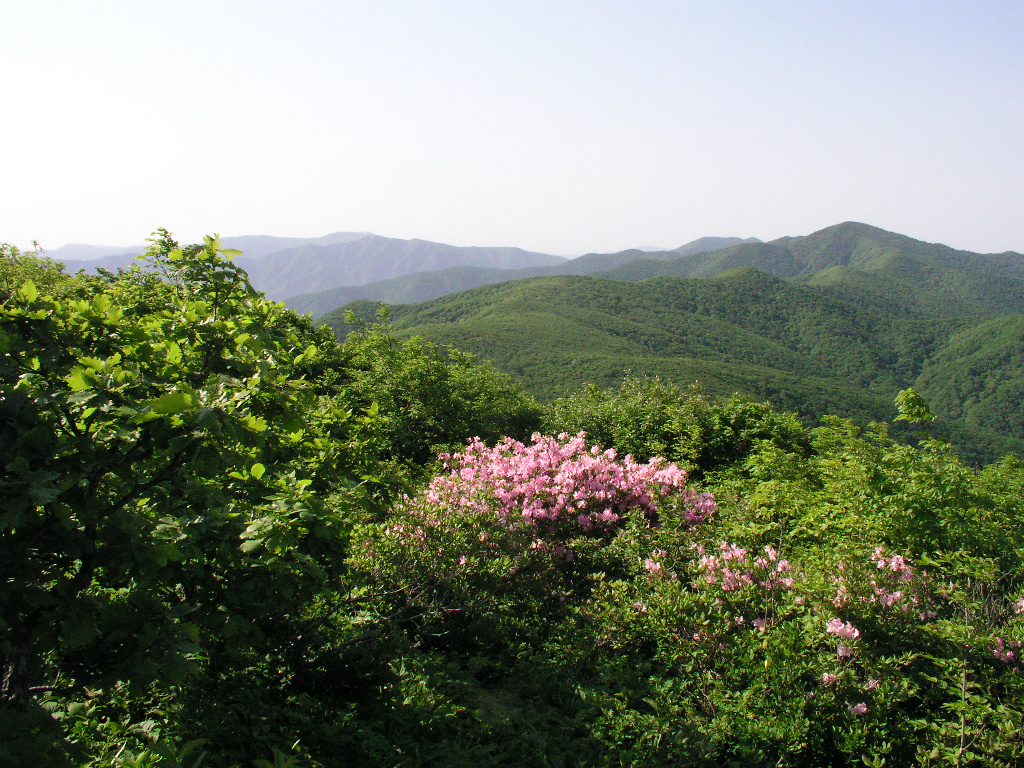 P1010085.JPG P1010085.JPG