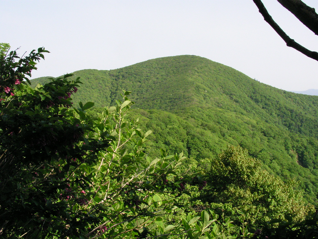 P1010088.JPG P1010088.JPG