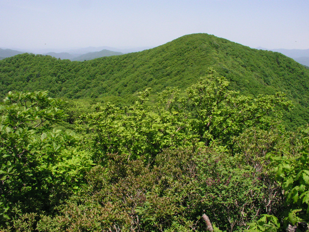 P1010095.JPG P1010095.JPG