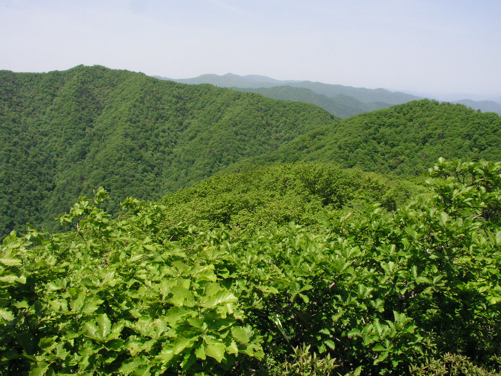 P1010096.JPG P1010096.JPG