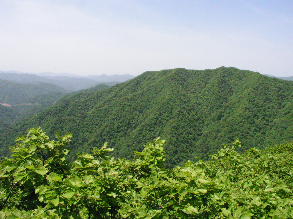 P1010097.JPG P1010097.JPG