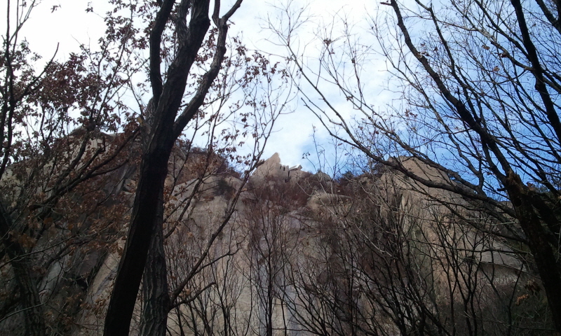 2011-12-03 09.23.55.jpg