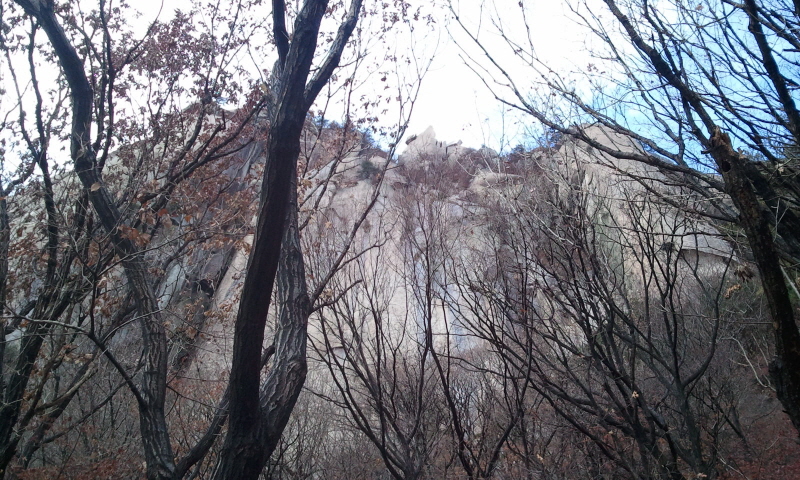 2011-12-03 09.24.09.jpg