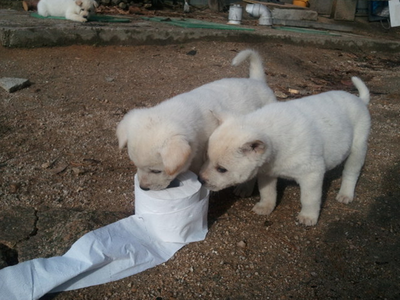 2011-12-03 10.38.25.jpg