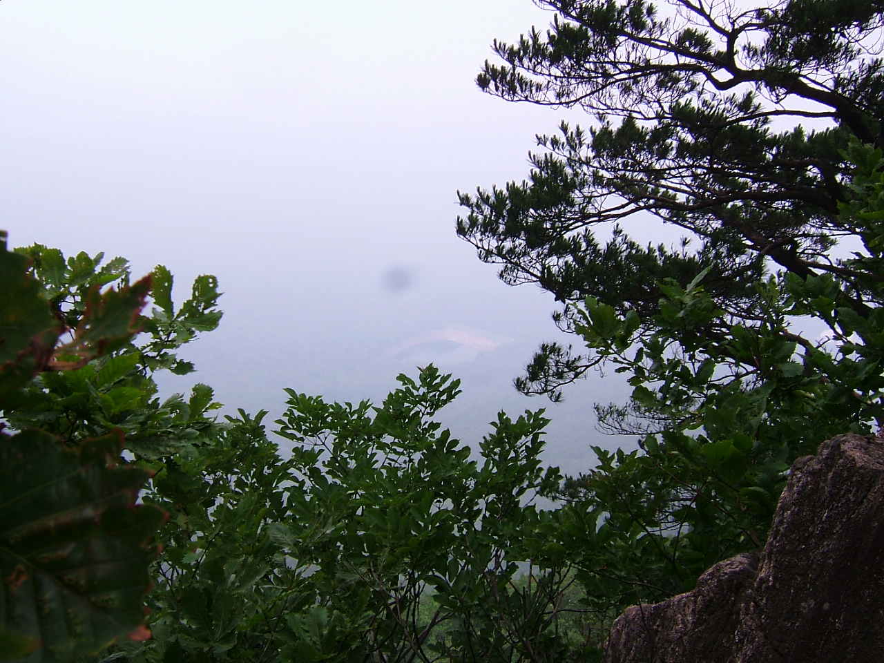 DSCF9737.JPG DSCF9737.JPG