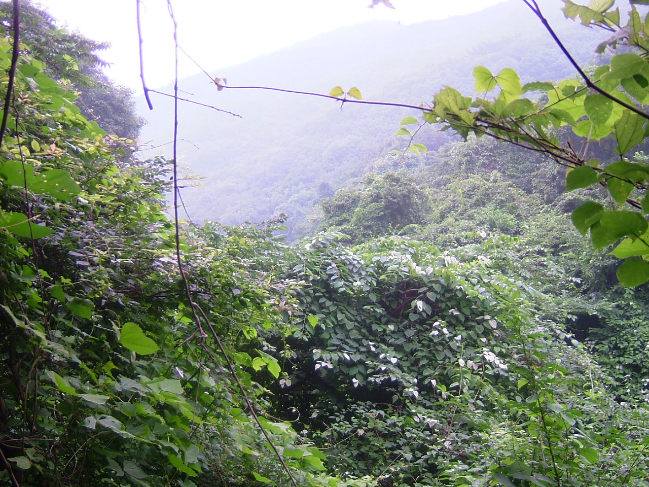 DSCF9751.JPG DSCF9751.JPG