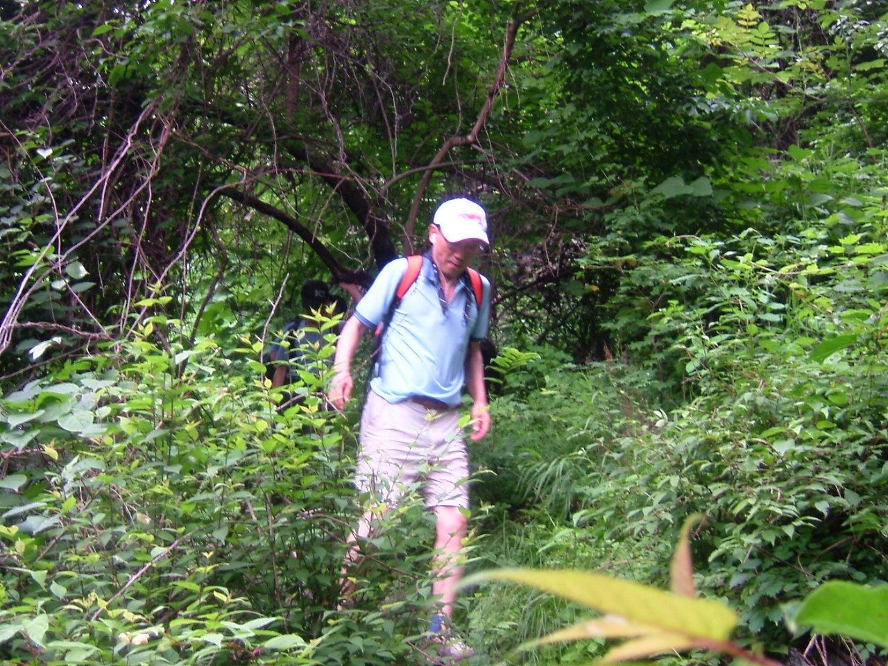 DSCF9752.JPG DSCF9752.JPG