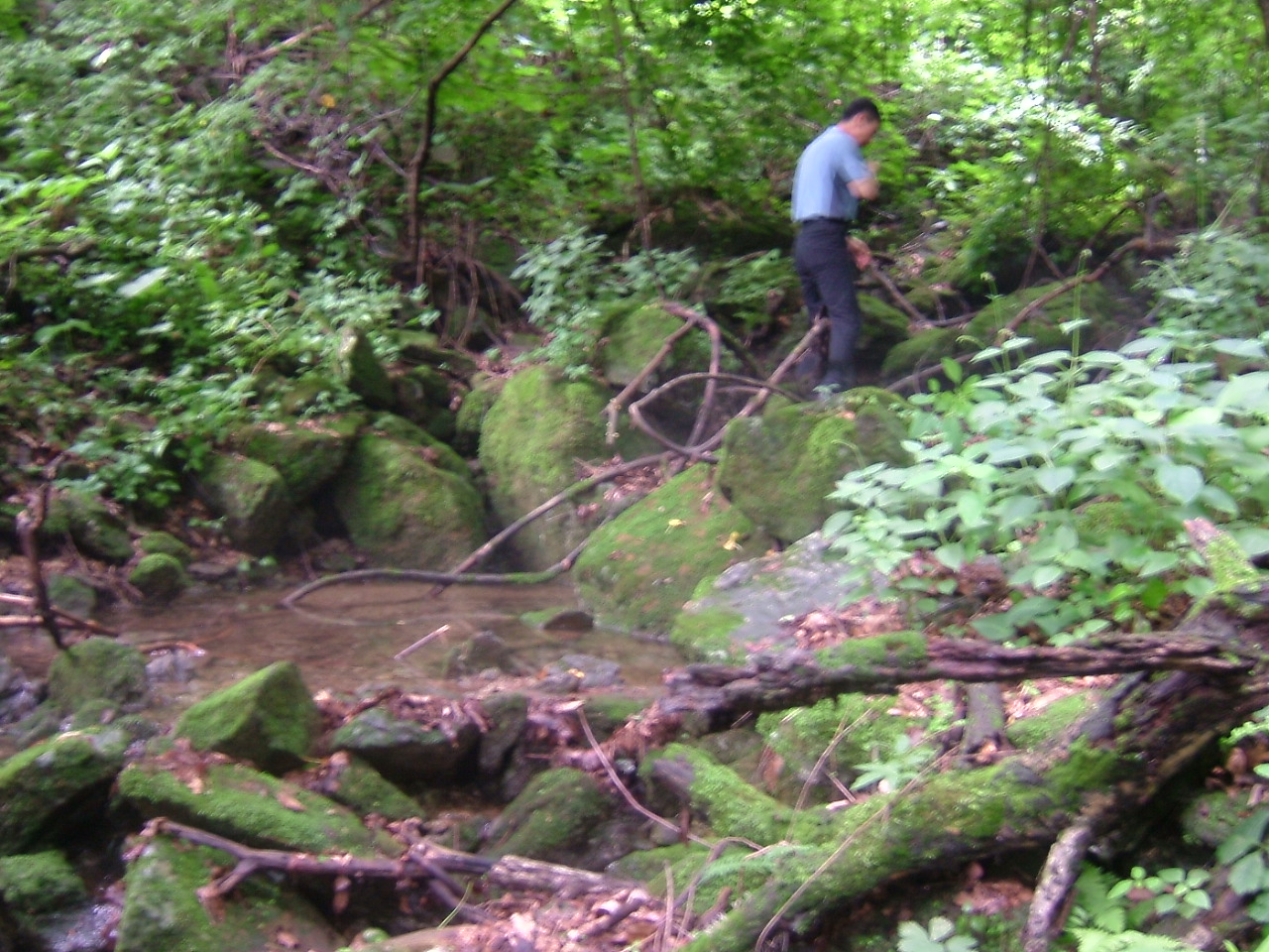 DSCF9754.JPG DSCF9754.JPG