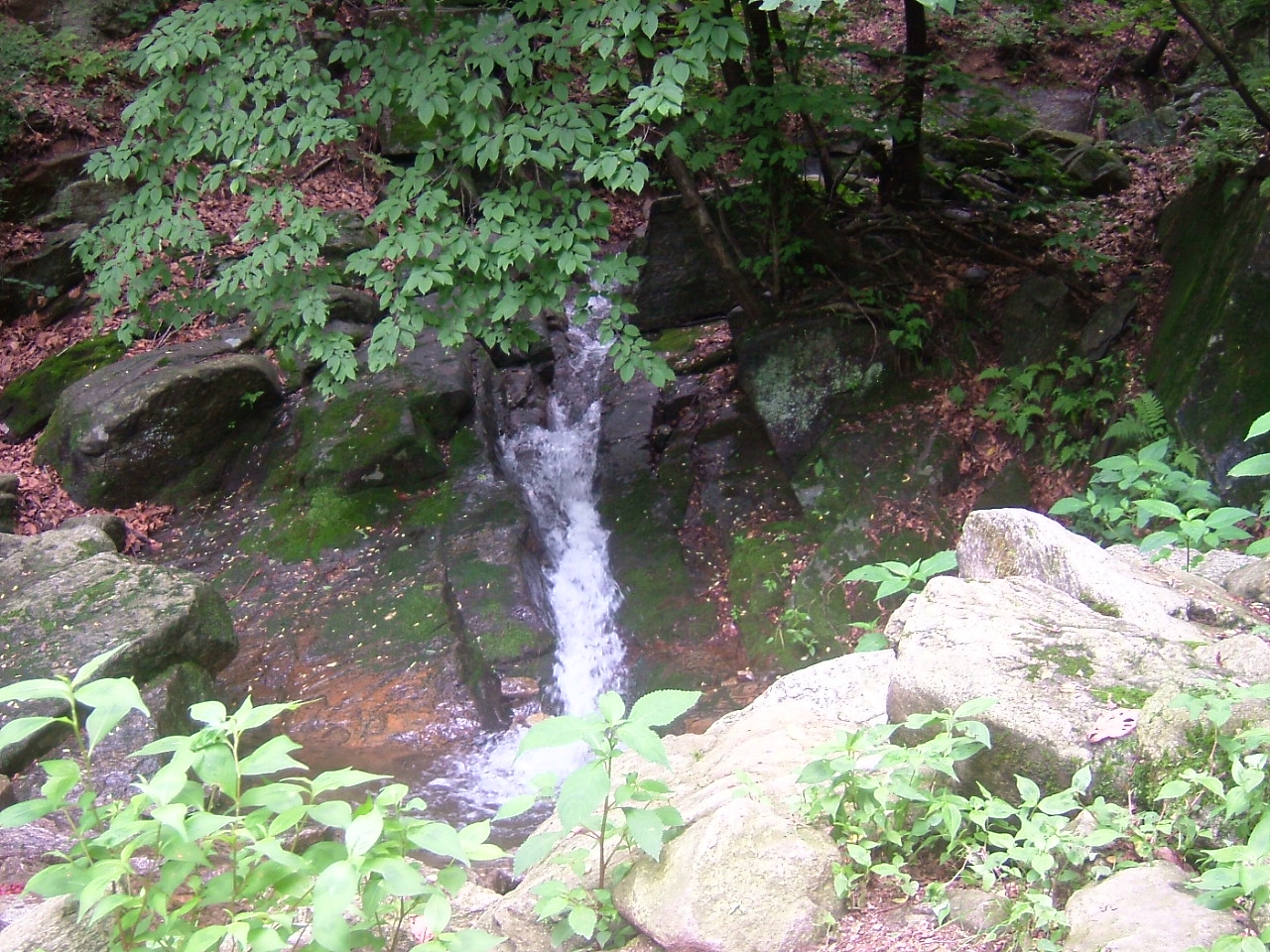 DSCF9757.JPG DSCF9757.JPG